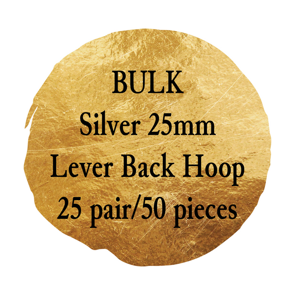 *BULK Lever Back Hoops 25MM Stainless Steel 25 pairs